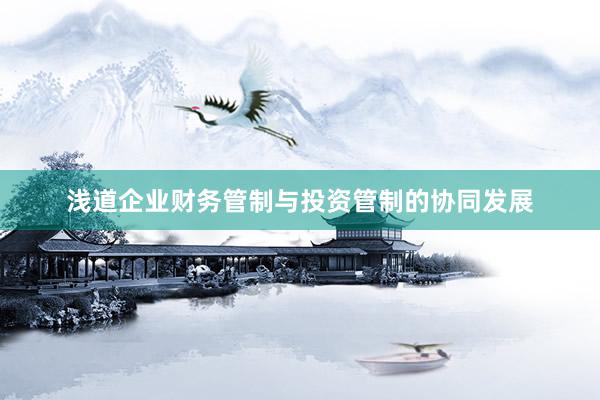 浅道企业财务管制与投资管制的协同发展