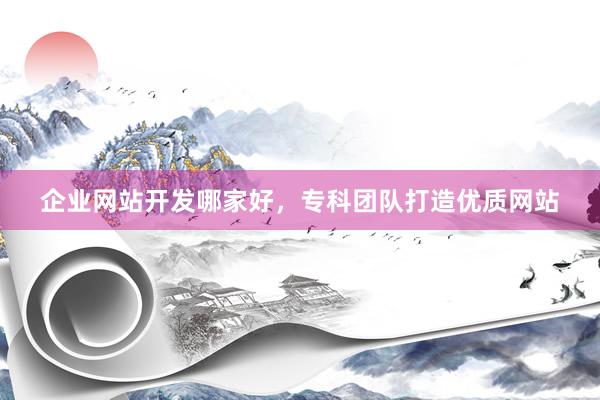 企业网站开发哪家好，专科团队打造优质网站