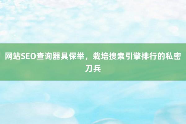 网站SEO查询器具保举，栽培搜索引擎排行的私密刀兵