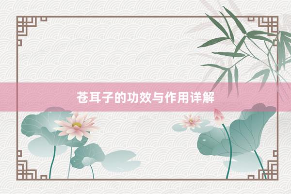 苍耳子的功效与作用详解