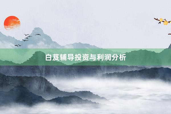 白芨辅导投资与利润分析